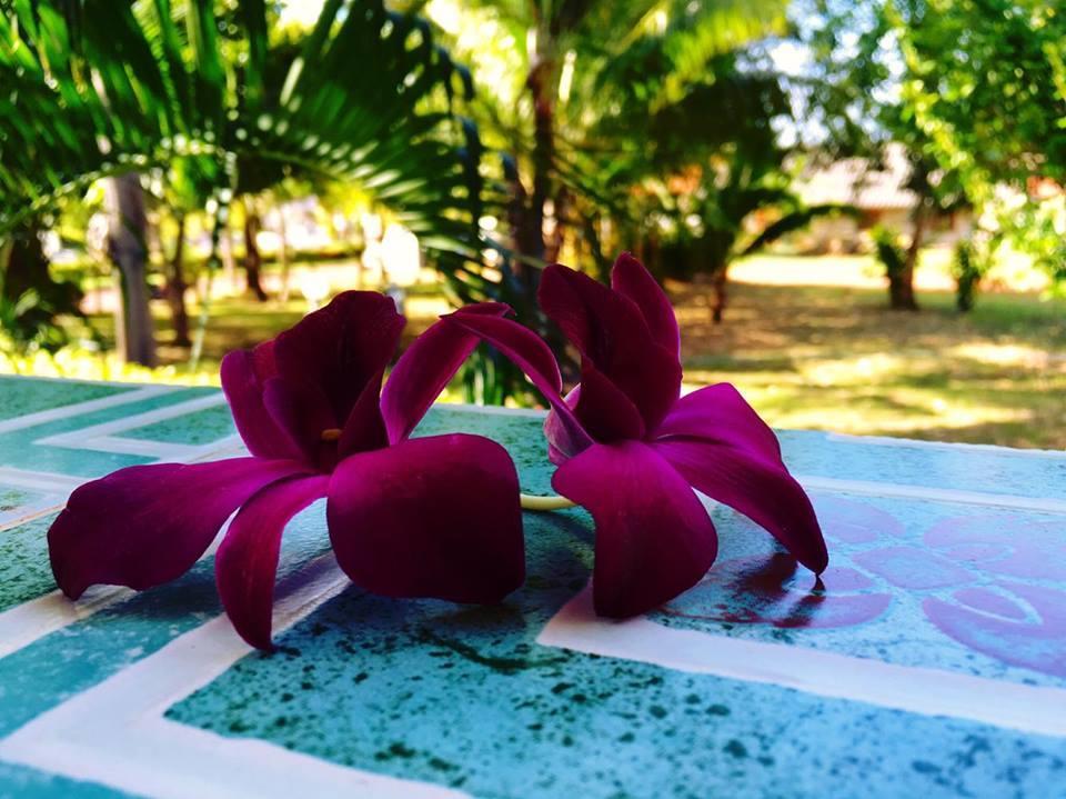 Lanta Queen Resort Ko Lanta Exterior foto